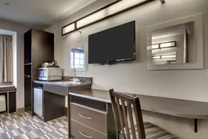 Microtel Inn & Suites by Wyndham Tuscaloosa Near University - Image 4