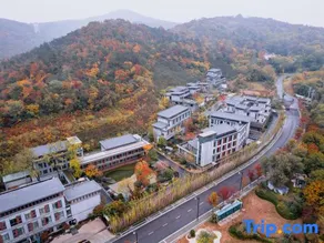 Nanjing Qixia Mountain Hentique Qiyun Resorts - Image 3