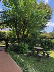 Magnolia - Image 4