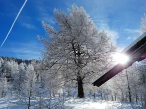 Alpine Chalet in Sankt Oswald Near Ski Lift - Image 3