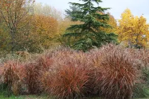 Les Jardins de l'Aulnaie - Image 3