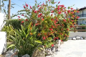 Casa Del Sol - Image 2