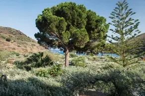 Hotel Cala Joncols - Image 4