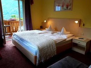 Pension Alpenblick - Image 3