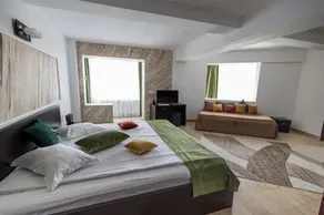 Hotel Ciobanasu - Image 2