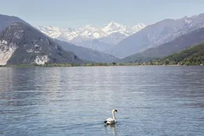 Hotel San Gottardo - Image 3