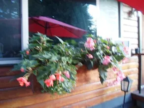 The Cedars Motel Sicamous - Image 5