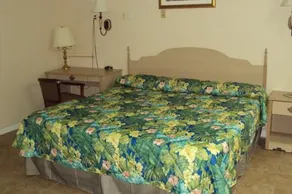 Dixie Plaza Motel - Image 2