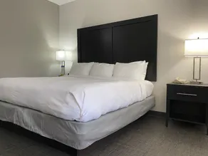 Holiday Inn Express Greer/Taylors @ Us 29 - Image 3