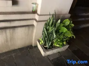 Yunxi NOME Light Luxury Homestay (Damaoshan Park ASEAN Commercial Plaza) - Image 3
