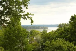 Cory Cottage At The Pansy Patch - Image 5
