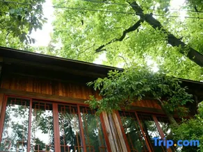 Tonggong Shanju Boutique Guesthouse - Image 2