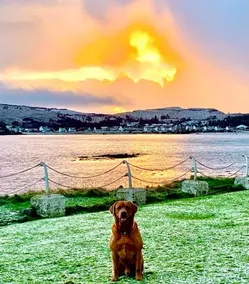 The Lochalsh Hotel - Isle of Skye - Image 2