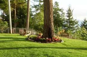 Madrona Beach Resort - Image 5