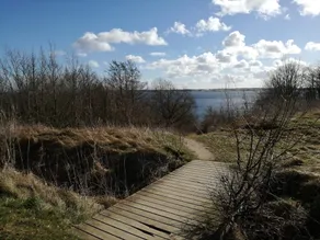 Spacious Holiday Home in Juelsminde Jutland With Garden - Image 3