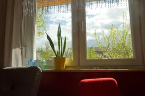 Haus An Der Oder - Image 3