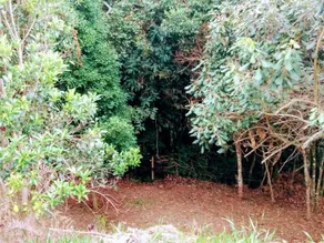 Recanto Das Estrelas - Image 3