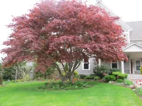 In Wolfville Luxury Bed & Breakfast - Image 4