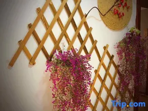 Xuan'en Wangxin Pavilion No.1 Homestay - Image 4