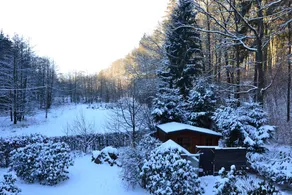 Waldhaus Oppach - Image 4