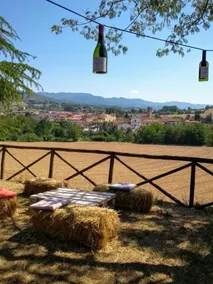 Agriturismo Poggio di Sotto - Image 2