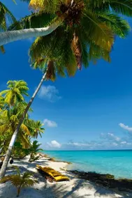 Fafarua Private Island - Image 2