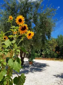 B&B Elianti - Image 4