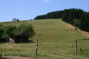 Converted old Mill in St. Georgen Inblack Forest - Image 5