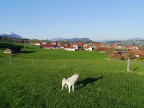 Cozy Holiday Home Near Ski Lift in Petersthal - Image 3