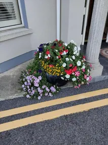 Ma Dwyer's Guest Accommodation - Image 4