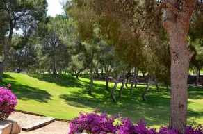 Colonial Golf - Image 4