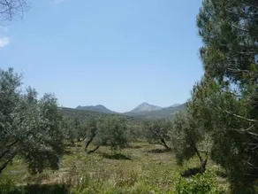 Venta Las Delicias - Image 3