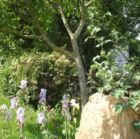 Gite Du Jardin - Image 5