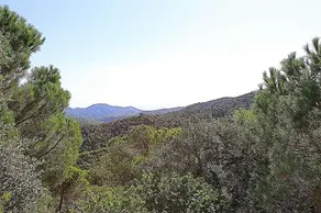 Villa Alta Vista - Image 2