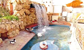 El Gouna in West Gulf 2 - Image 4