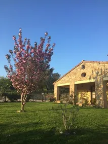 Agriturismo Podere Micitto - Image 4
