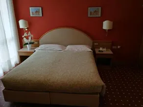 Albergo Miramonti - Image 2