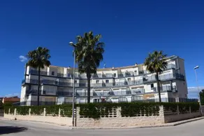 DUP306 Green Beach Oliva Nova - Image 3