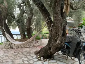 Ionian Melody - Image 3