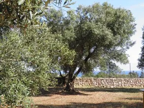 Villa Minteco - Image 2