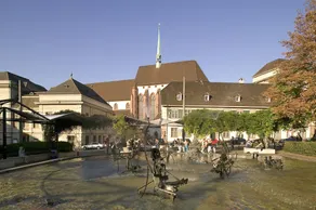 Apartments Messe Basel by Hotel Rheinfelderhof - Image 3