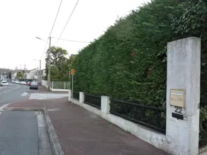 L'Orangine - Image 1