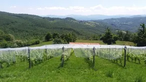 Casa Vacanze Rovere - Image 5