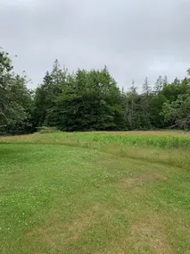 Meta Goldin Farmhouse Meadow - Image 5