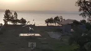 MANI KAMARES BEACH ESTATE - Image 5