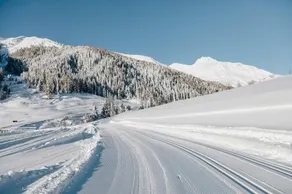 DAS GERSTL Alpine Retreat - Image 2