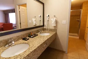 Hotel Kelowna & Conference Centre - Image 3