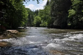 Trinity Waters - Image 5