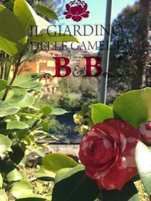 B&B Il Giardino delle Camelie - Image 2