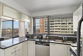 2BR Apt in Hyde Park - Algonquin 8E - Image 4